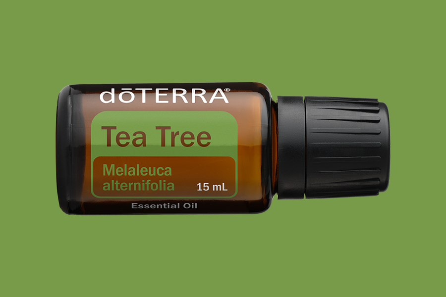 Tea Tree Essential Oil | doTERRA Essential Oils